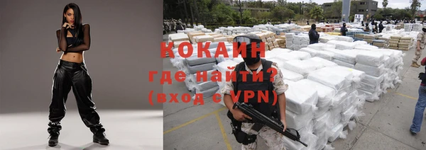 крисы Лагань