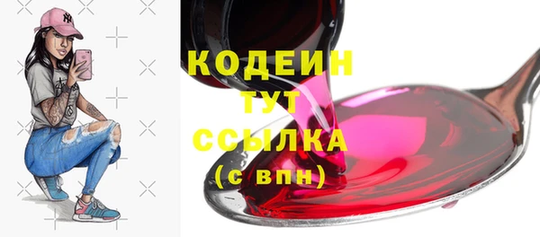 крисы Лагань