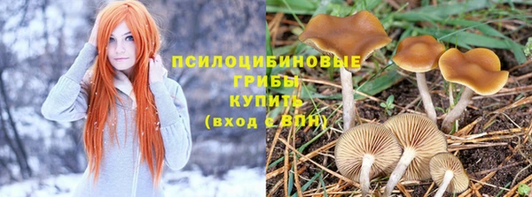 крисы Лагань