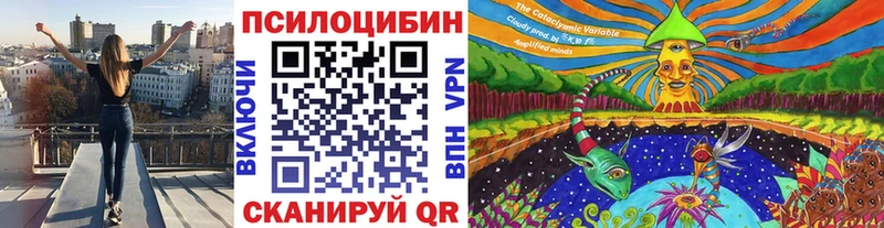 где можно купить   Шахты  Галлюциногенные грибы Magic Shrooms 